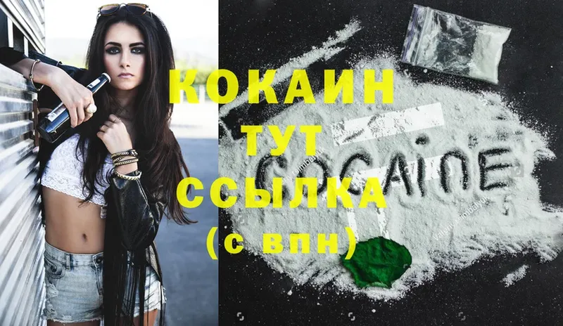 Cocaine FishScale  mega   Волосово 